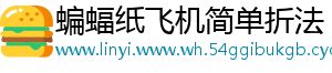 蝙蝠纸飞机简单折法